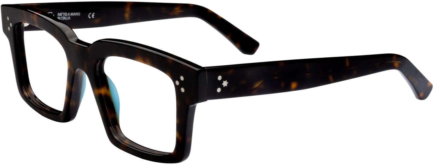 Giorgio Nannini - Moreno Tortoise