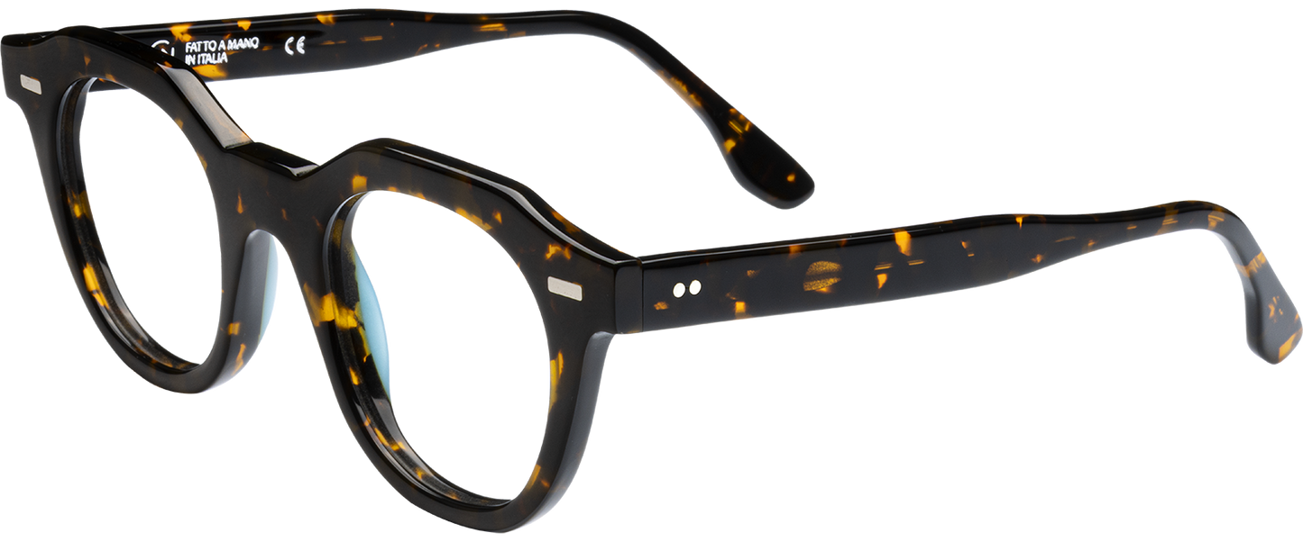 Giorgio Nannini - Tazio Tortoise