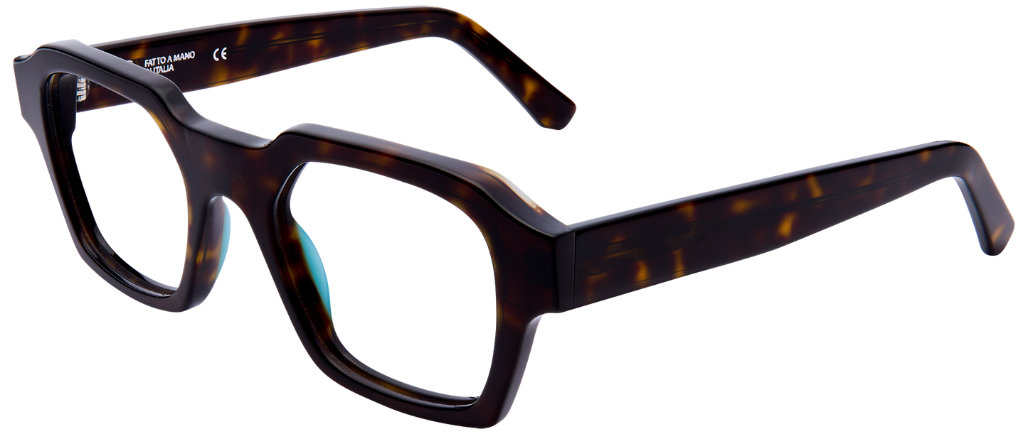 Giorgio Nannini - Virginio Tortoise