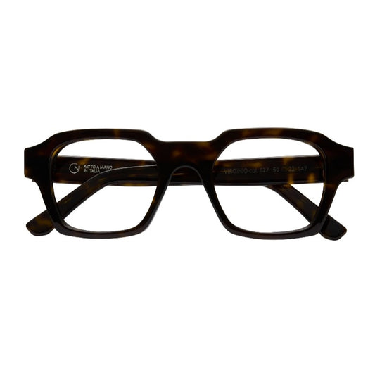 Giorgio Nannini - Virginio Tortoise