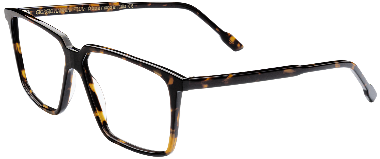 Giorgio Nannini - Ostro Tortoise